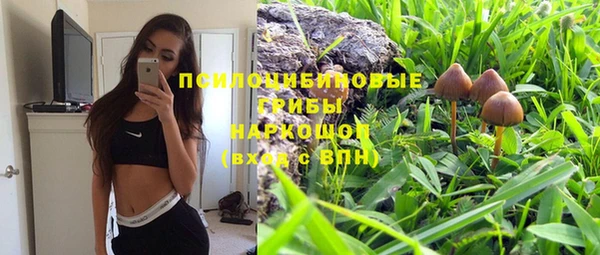 тгк Россошь