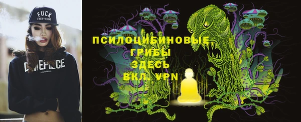 прущие крисы Рославль