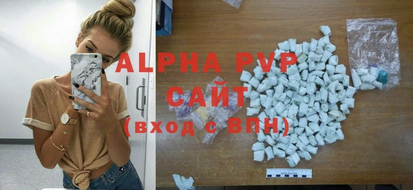 сатива Ростов