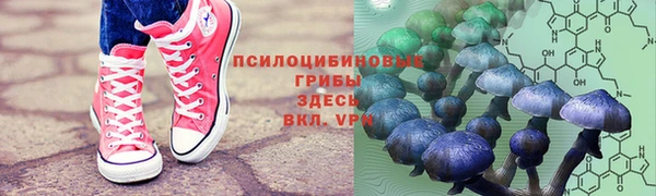 соль ск Весьегонск