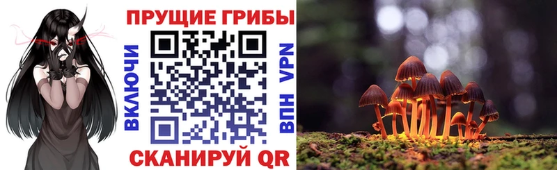 Псилоцибиновые грибы прущие грибы Иннополис